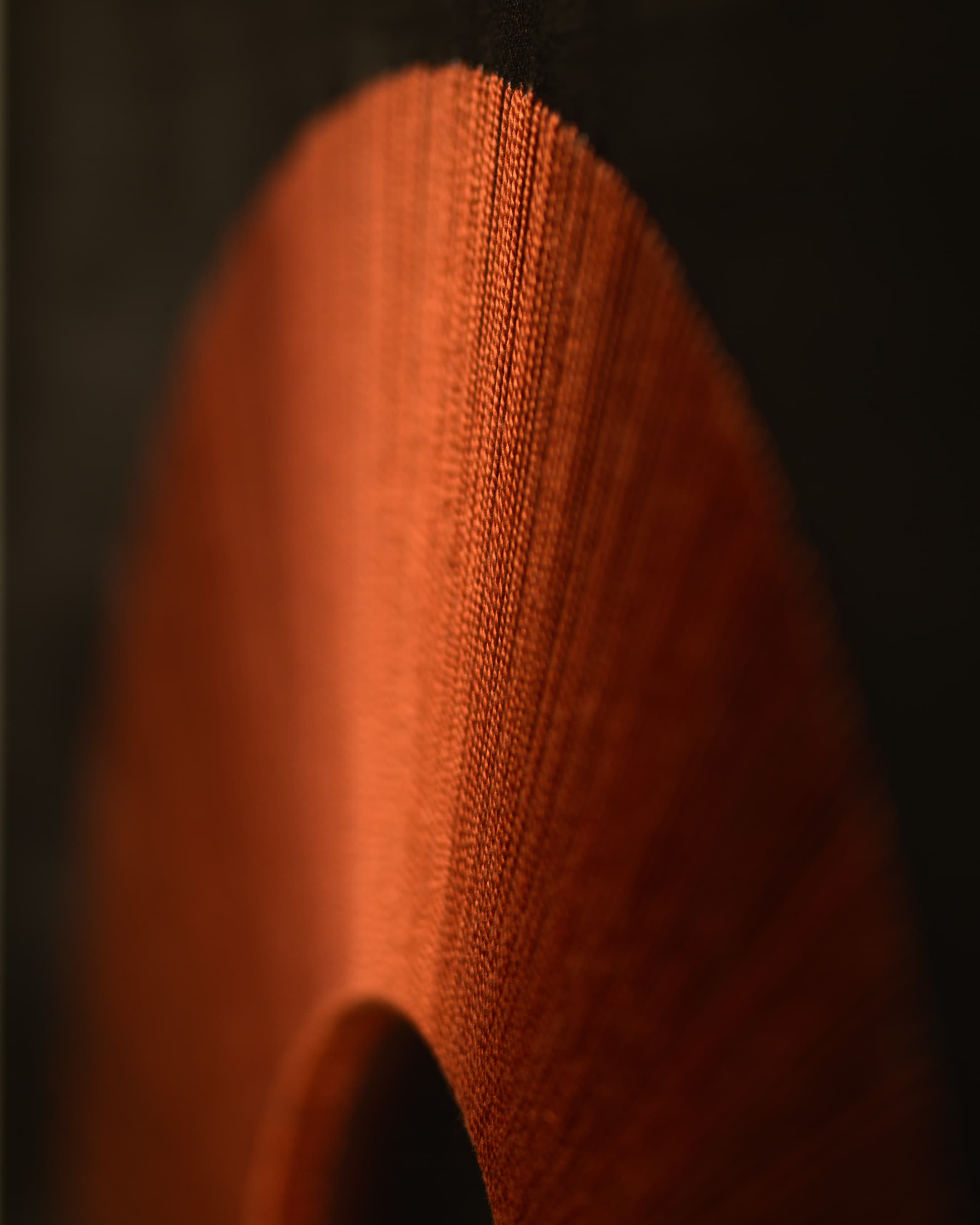 Concentration, photo 4 of 5