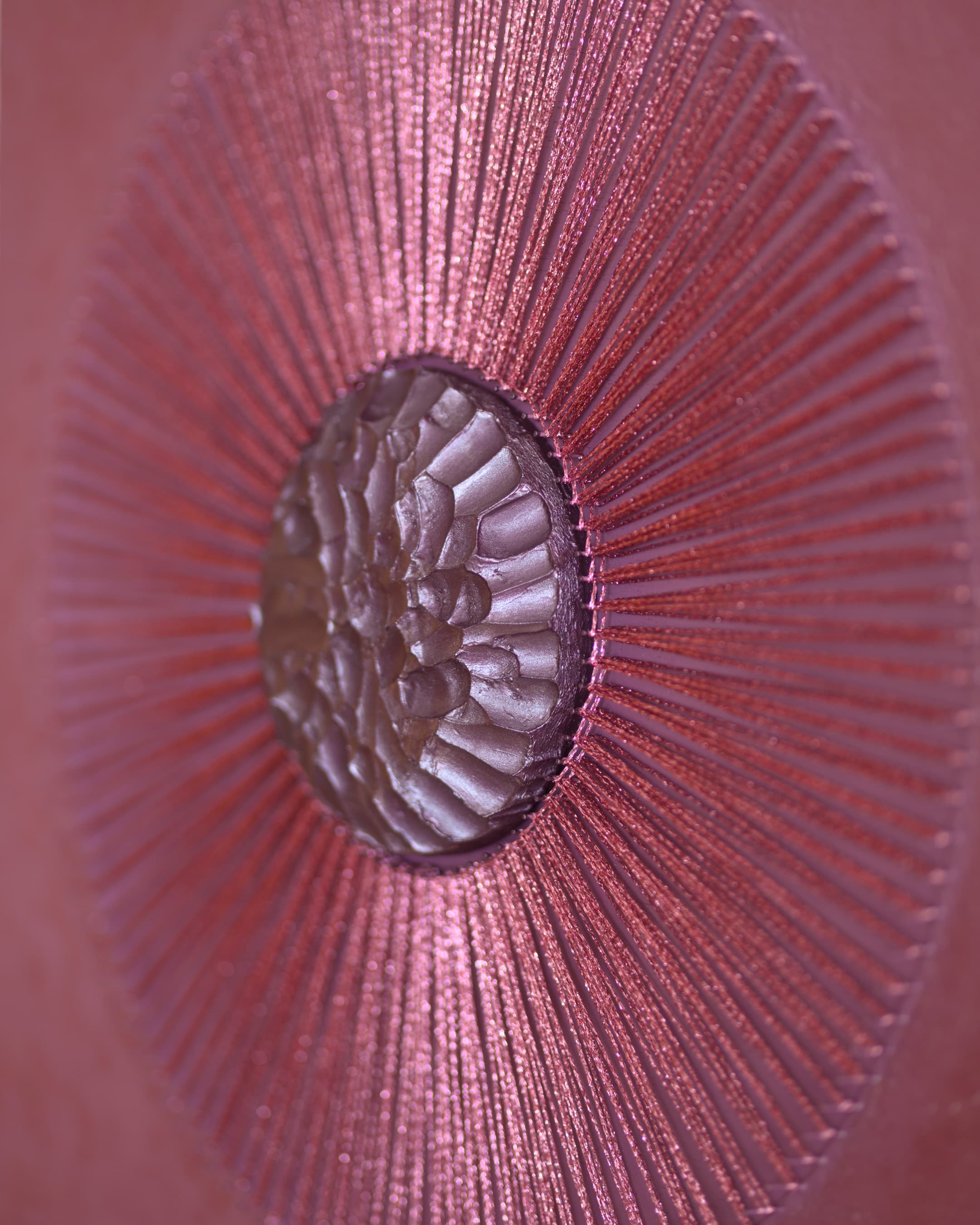 Aspiration, photo 5 of 9