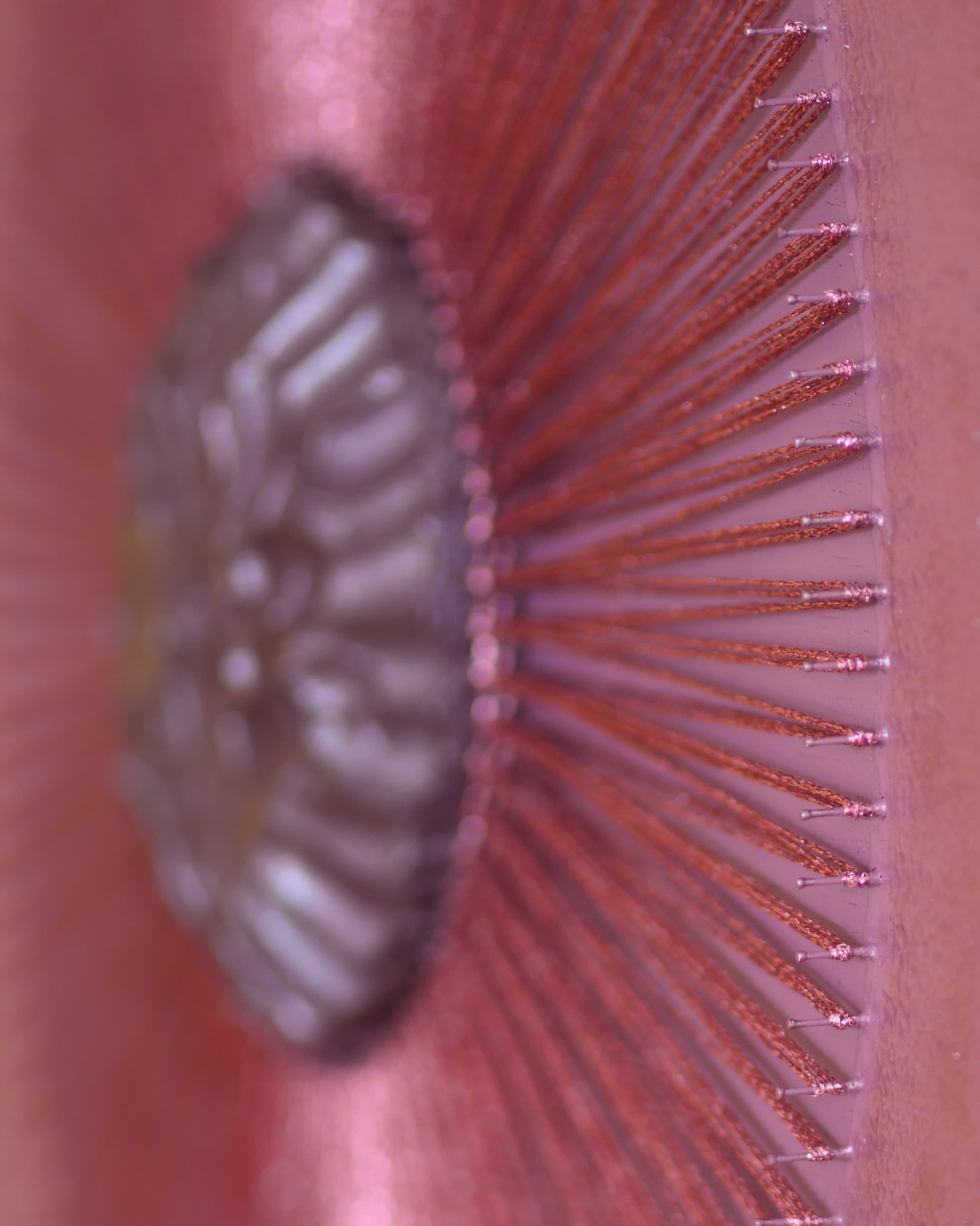 Aspiration, photo 6 of 9
