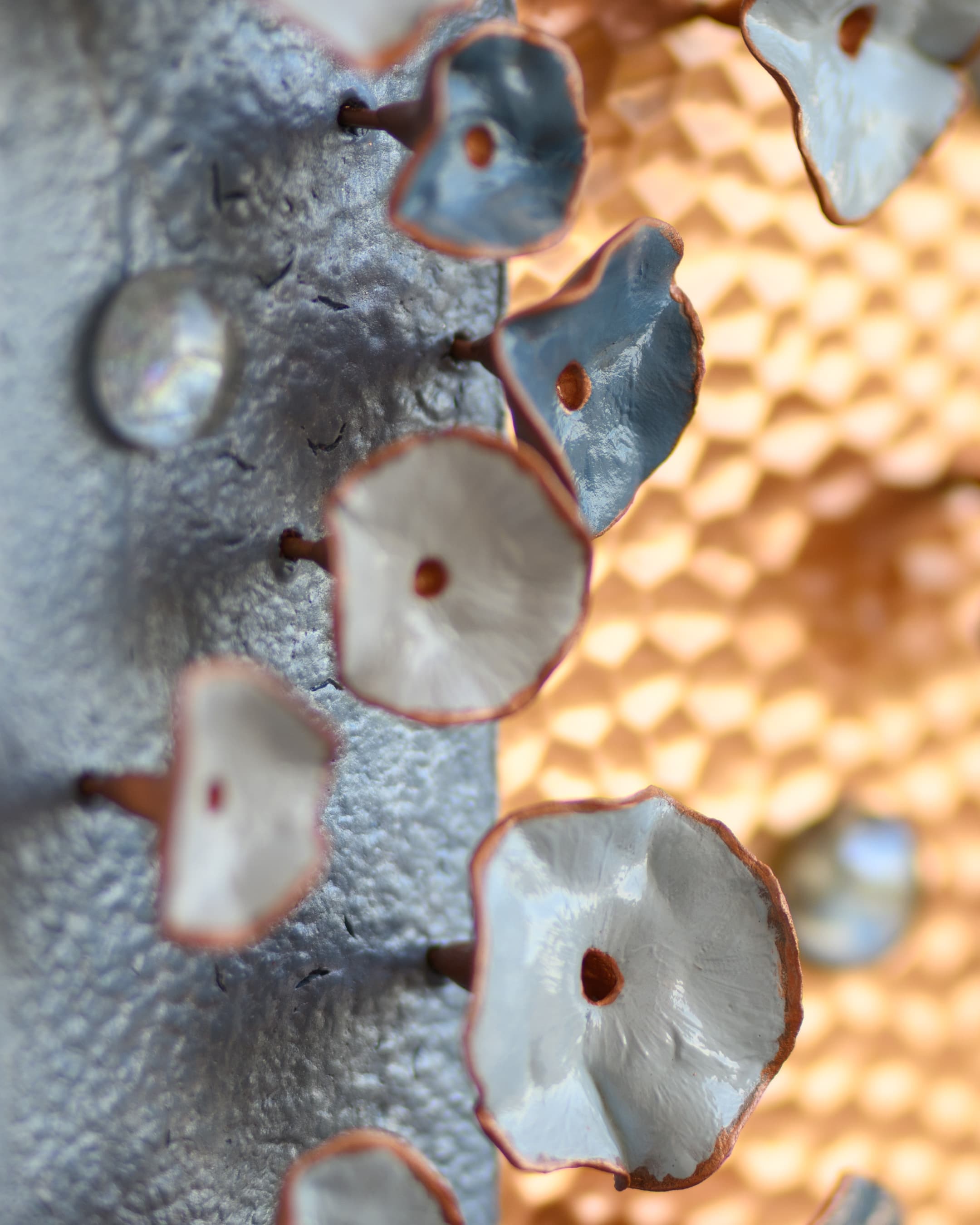 Germination, photo 4 of 8