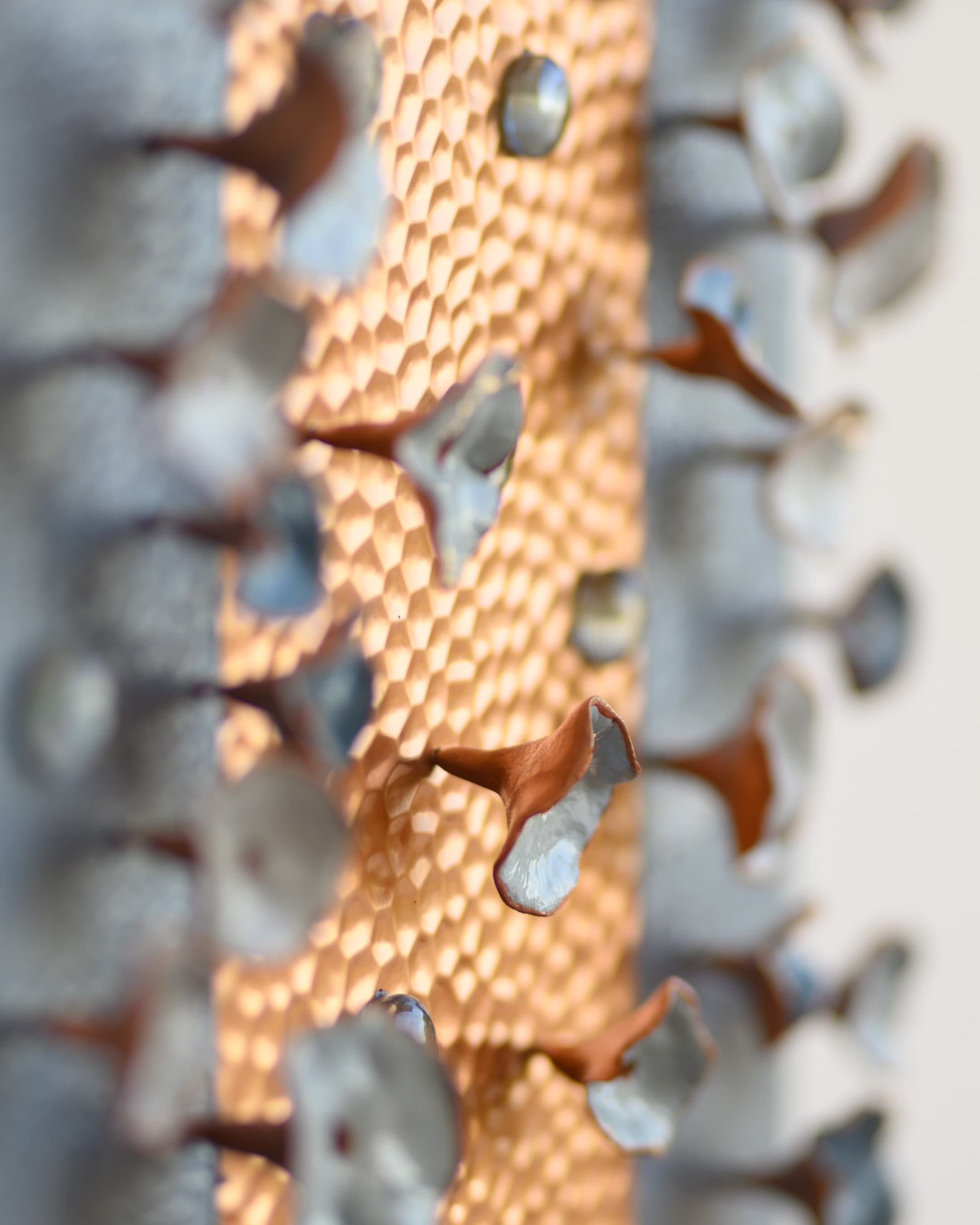 Germination, photo 3 of 8