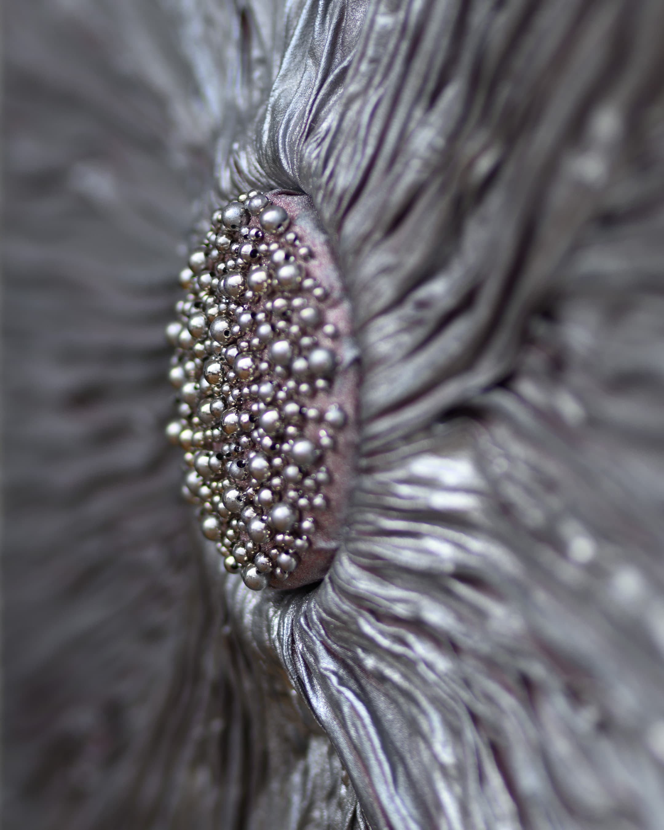 Cosmic Serenity, photo 4 of 7