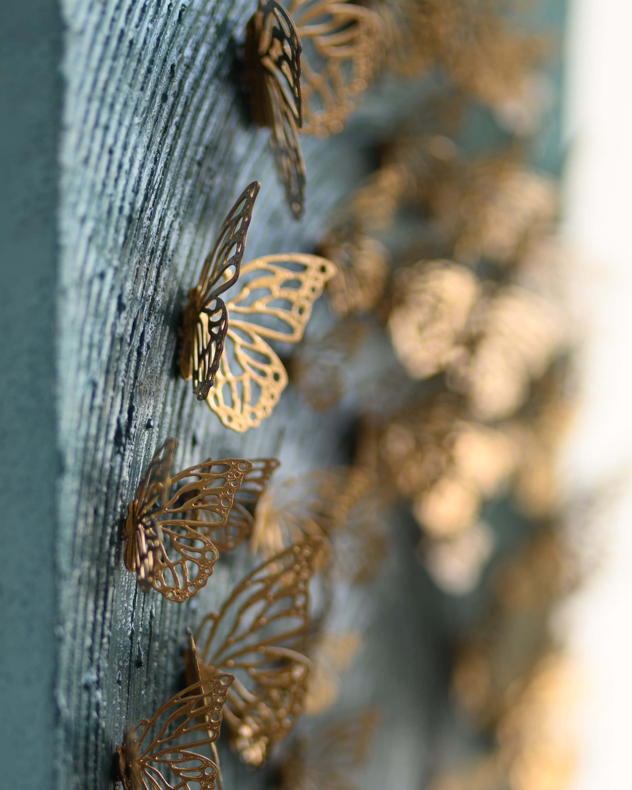 Wings, photo 9 of 14