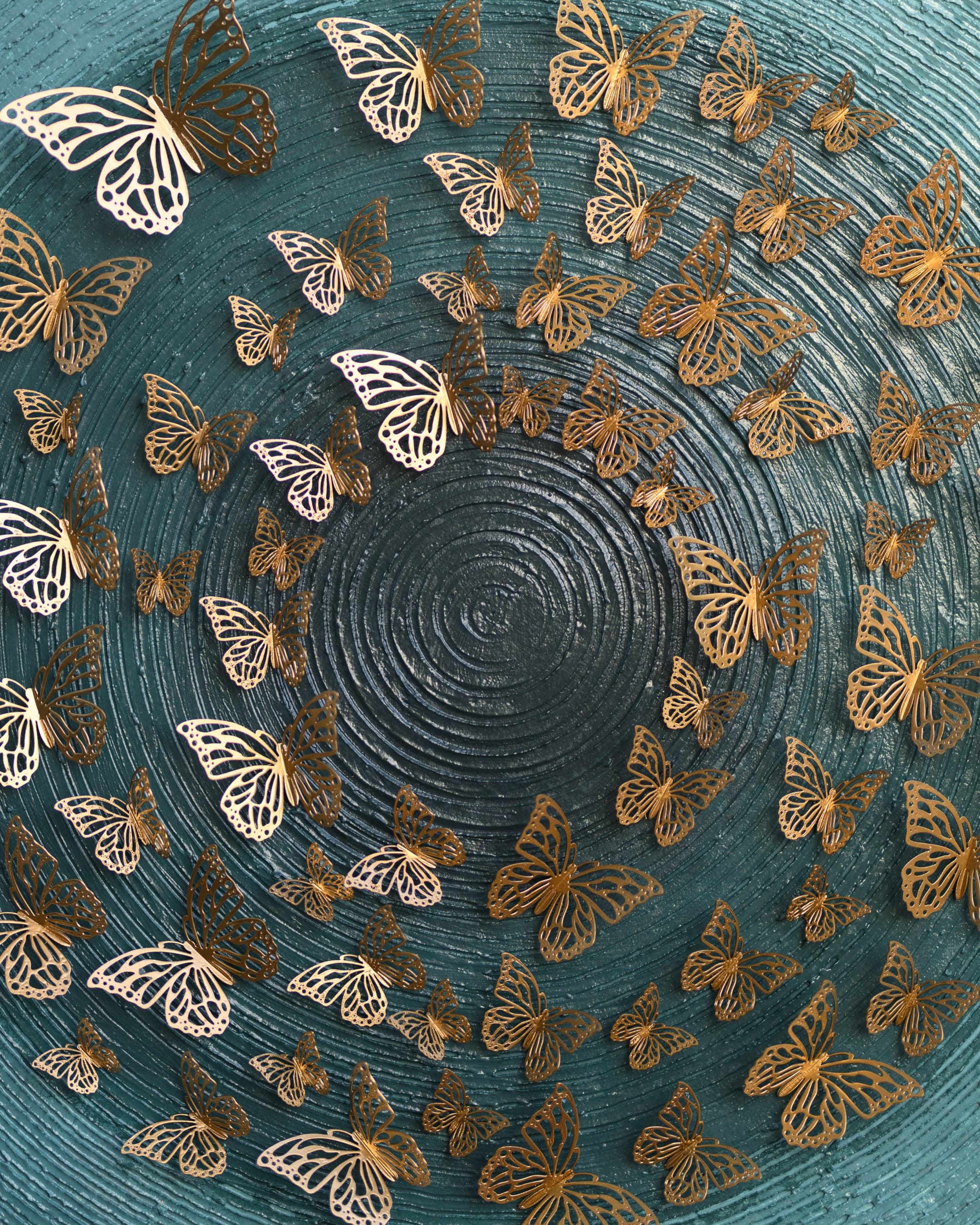Wings, photo 1 of 14